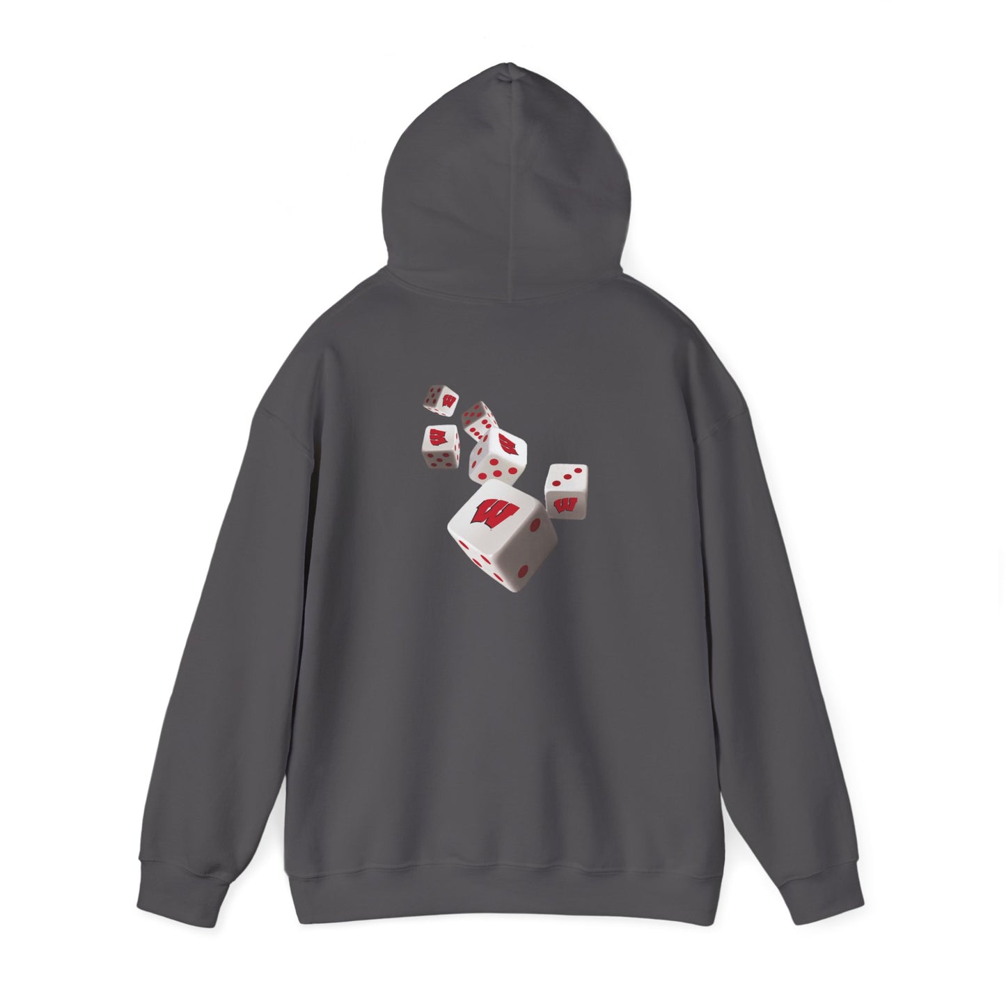 ROLL THE DICE - UW MADISON GAMEDAY QR CODE HOODIE